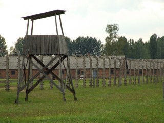 Setry posts at Birkenau
